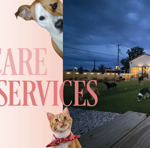 East Austin locals chose their favorite pet care services — top dog groomers, vets, pet stores, and more. Find the best places to pamper your pet on the Eastside.