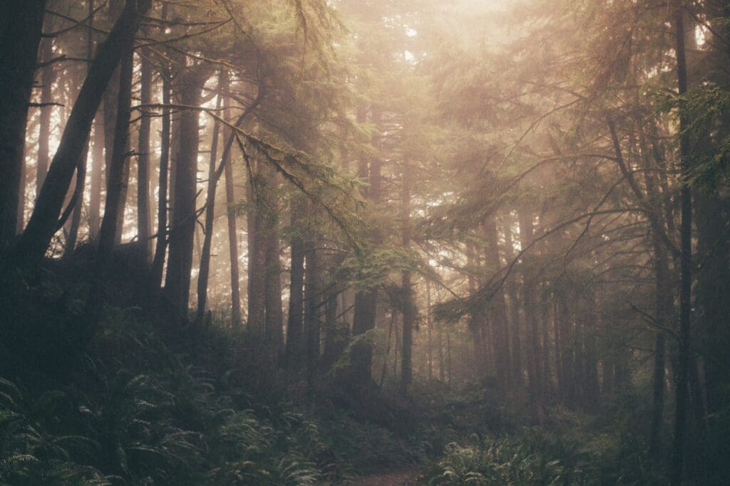 Ecola State Park