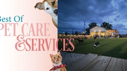 East Austin locals chose their favorite pet care services — top dog groomers, vets, pet stores, and more. Find the best places to pamper your pet on the Eastside.